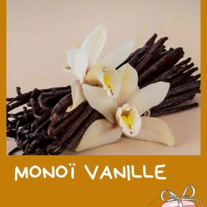 Orchidée vanille