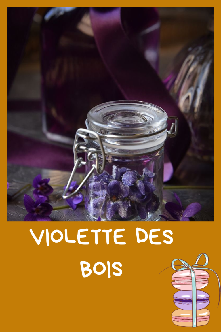 bleu-clair-maternite-conseils-image-pinterest-26