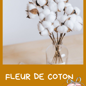Fleur de coton