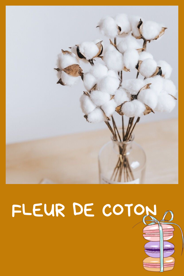 bleu-clair-maternite-conseils-image-pinterest